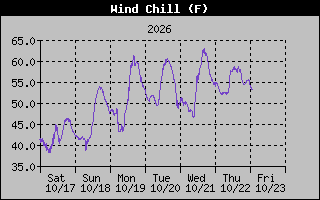 1 Week Wind Chill Graph