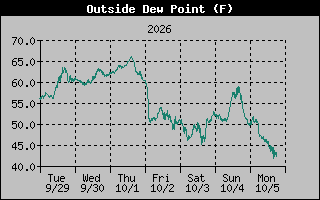 1 Week Dew Point Graph