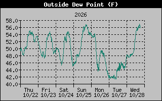 1 Week Dew Point Graph