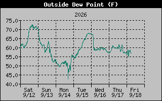 1 Week Dew Point Graph