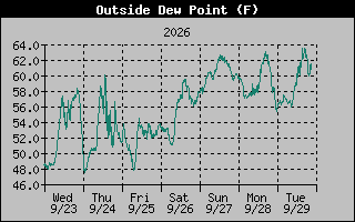 1 Week Dew Point Graph