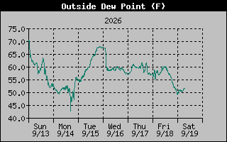 1 Week Dew Point Graph