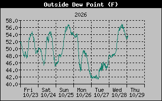 1 Week Dew Point Graph