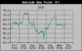 1 Week Dew Point Graph