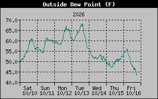 1 Week Dew Point Graph