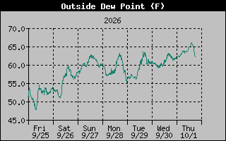 1 Week Dew Point Graph