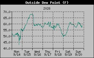 1 Week Dew Point Graph