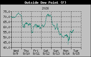 1 Week Dew Point Graph