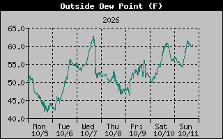 1 Week Dew Point Graph