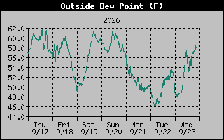 1 Week Dew Point Graph