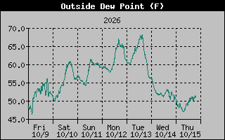 1 Week Dew Point Graph