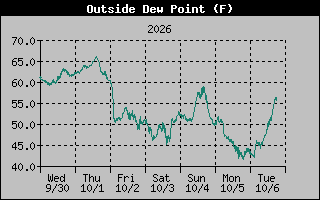 1 Week Dew Point Graph