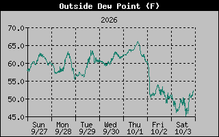 1 Week Dew Point Graph