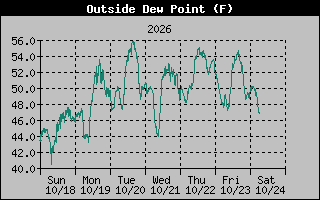 1 Week Dew Point Graph