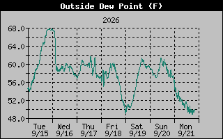 1 Week Dew Point Graph