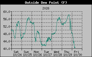 1 Week Dew Point Graph