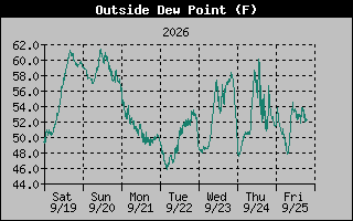 1 Week Dew Point Graph
