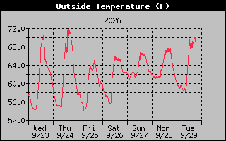 1 Week Temperature Graph