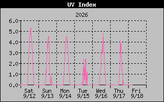 Temperature Graph