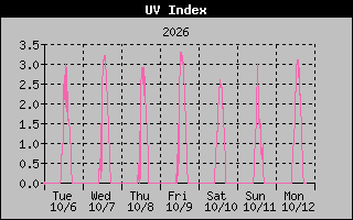 Temperature Graph