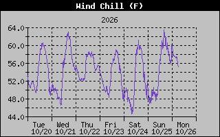 1 Week Wind Chill Graph