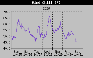 1 Week Wind Chill Graph