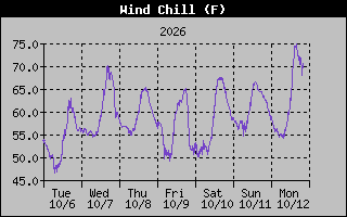 1 Week Wind Chill Graph