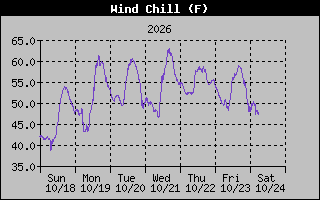 1 Week Wind Chill Graph