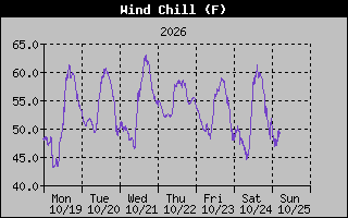 1 Week Wind Chill Graph