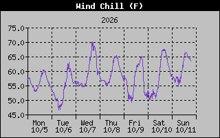 1 Week Wind Chill Graph