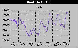 1 Week Wind Chill Graph