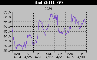 1 Week Wind Chill Graph