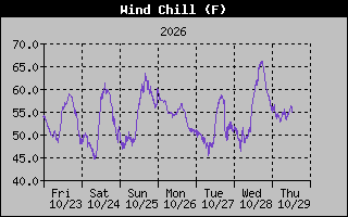1 Week Wind Chill Graph